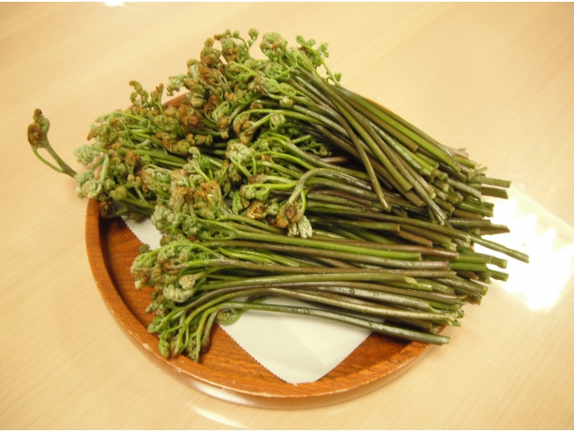 こんなにとれました