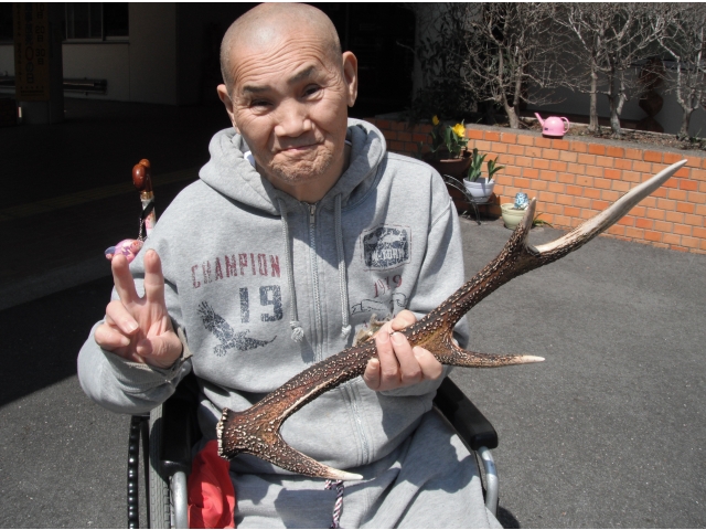 鹿の落し物（角）を発見。