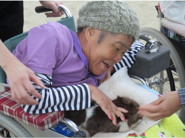 移動動物園でふれあい