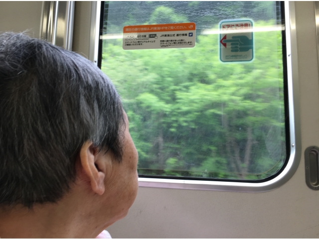 山の緑がきれいだなあ