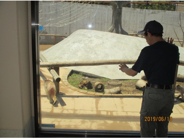 すぎのきの近くにもいるゾ・・・