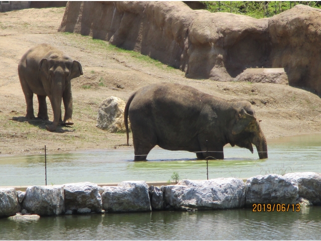 暑かったからね～