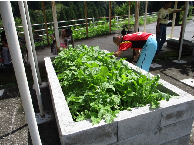 大根が沢山・・