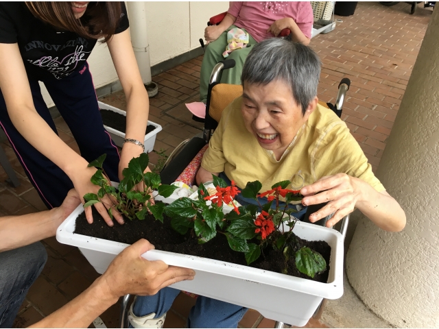 お花を植えよう