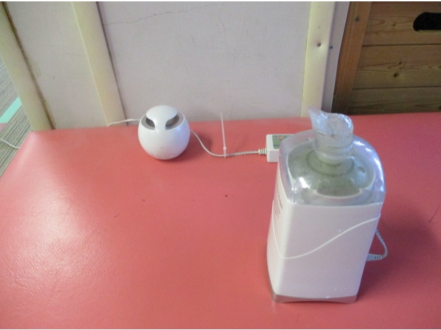 本日はラベンダー