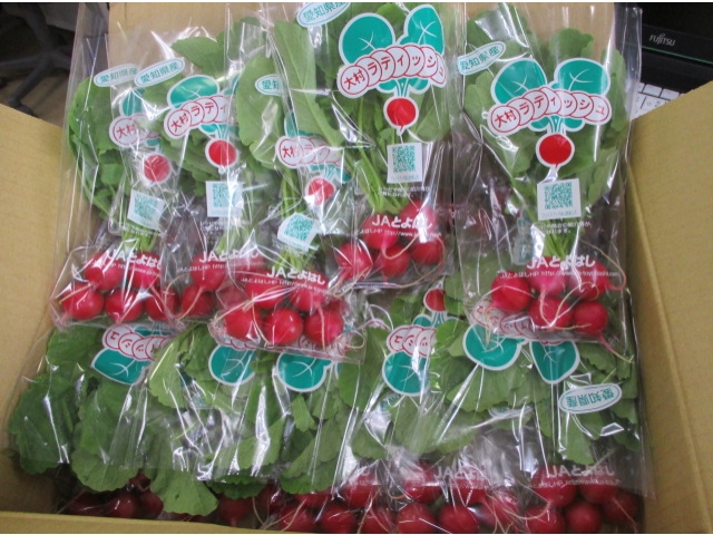 赤い宝石や！！