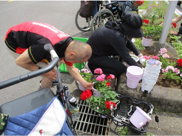 一生懸命植えました👀