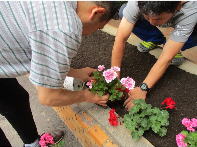 玄関先にも植えました