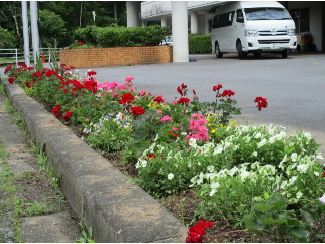 華やかになりました♪