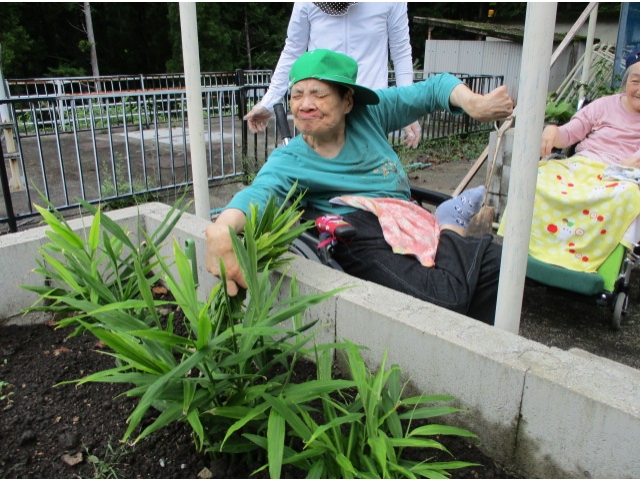 うんとこしょ、どっこいしょ