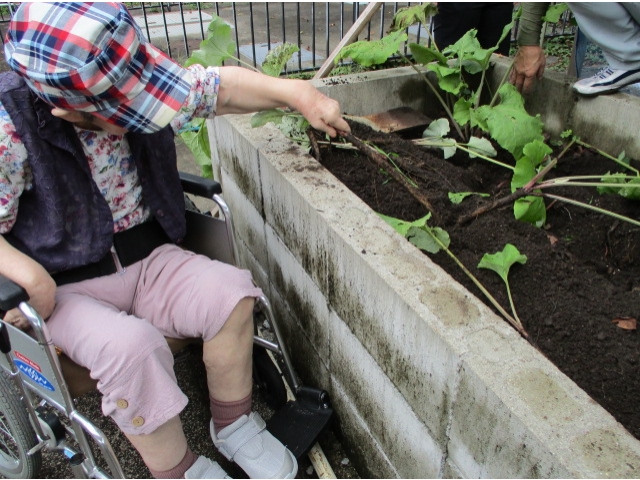 今度は何かな？