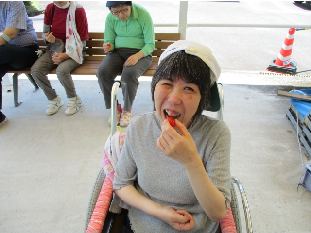 いただきます。