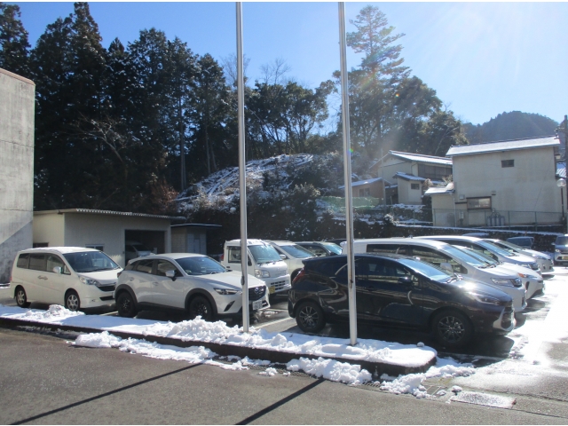 まぶしいぜよ。