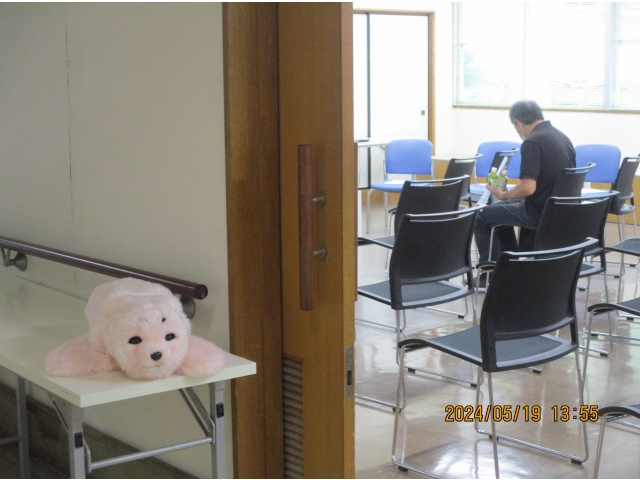 パロもお出迎え