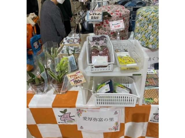 全体も写せば良かった…