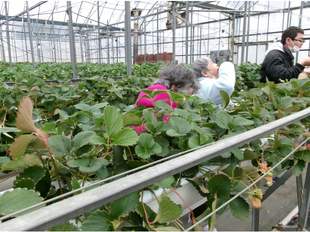 たくさん食べました。