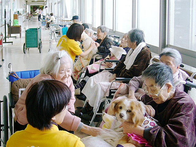 アニマルセラピー