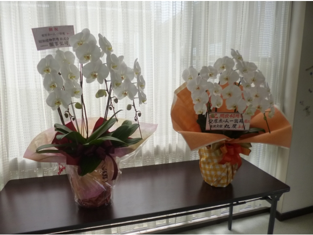 お祝いの花も届きました