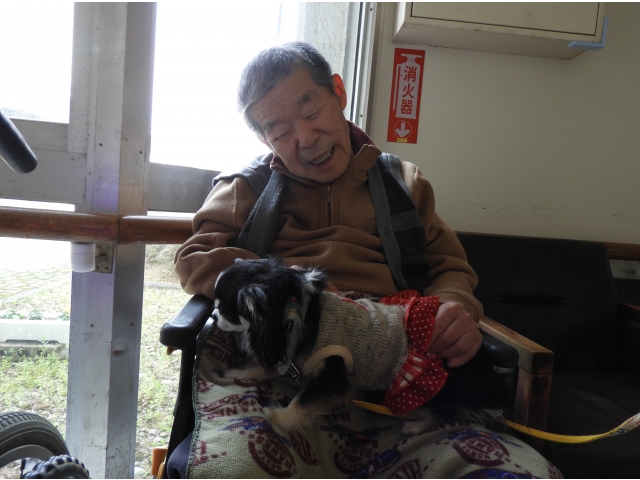 小さくて可愛いなあ