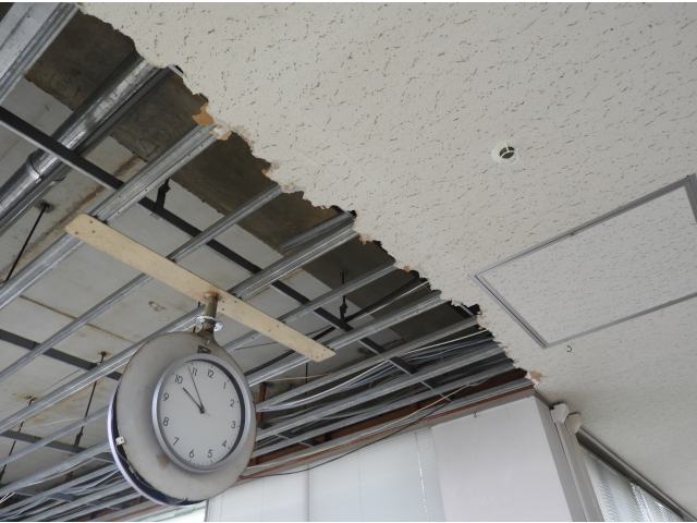 オモテとウラです。