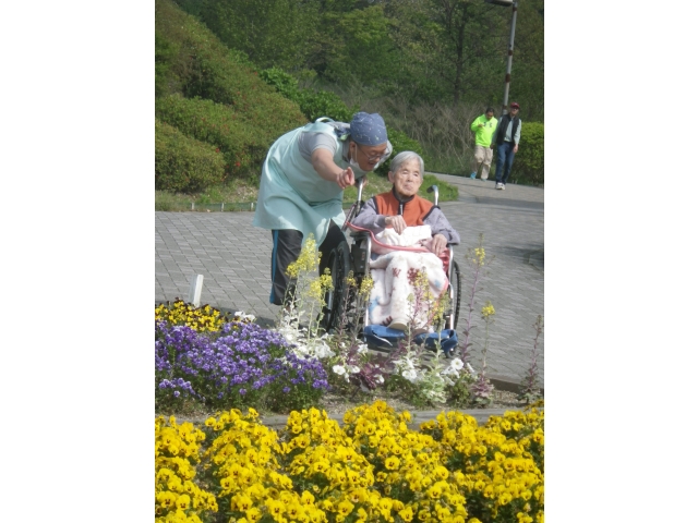 とーっても綺麗なお花ですよー！！