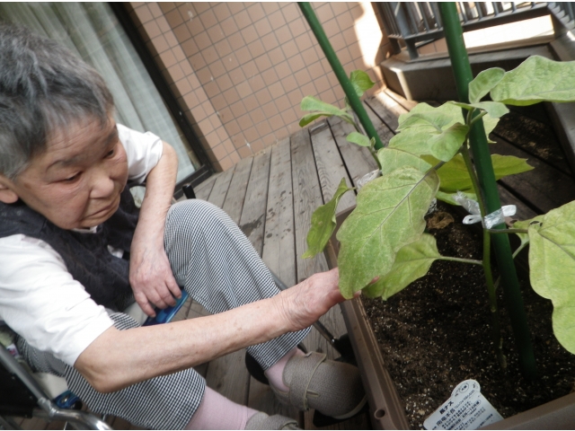 すくすく育ってます