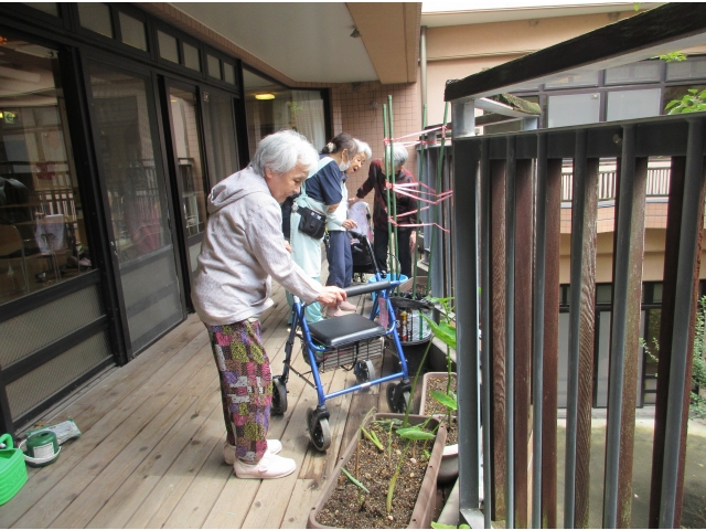 大きくなあれ！