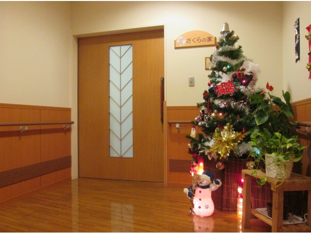 ユニットの入口には大きなクリスマスツリーがライトアップ