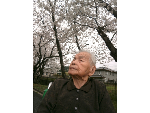 穏やかな春の日差しと桜気持ちがいいね🌟🌟