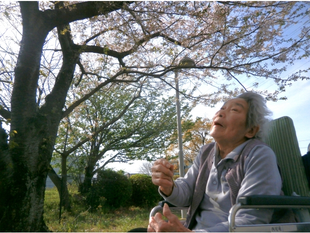 飛んだー！来年はタンポポと桜の競演がみられるかな😊