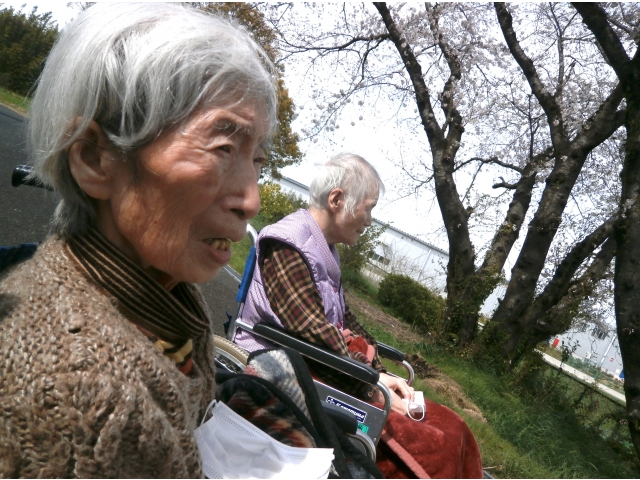 桜がきれいだねぇ🌞