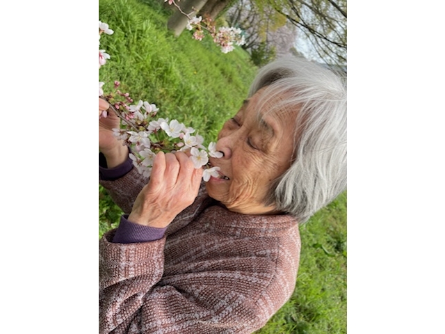 わぁ！いい匂い！顔を近づけると甘い香りがしていました。