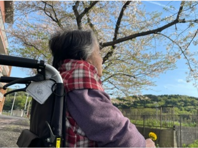 春眠暁を覚えず・・・暖かい陽気にうとうとしそうです。