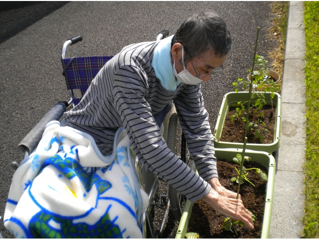 小玉スイカ🍉ときゅうり🥒とトマト🍅と瓜を植えました。