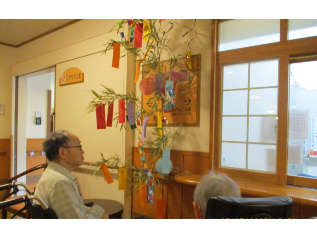 色とりどりの短冊と七夕飾りとってもきれいです🌌