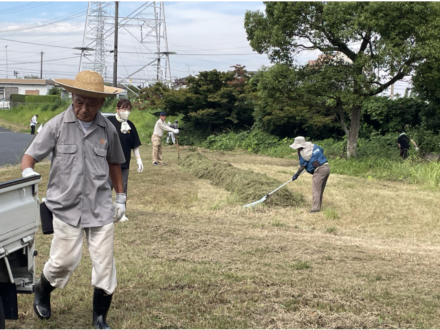 草の山が列をなしてる💦