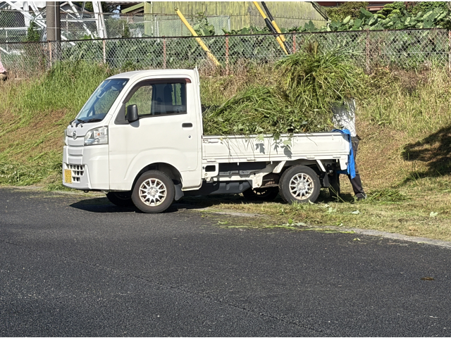 トラックの荷台に草が山盛り🏔️ハイジのベッドになりそう？！