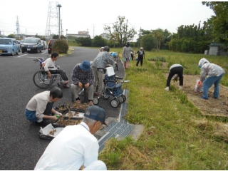 皆さんで草取り。