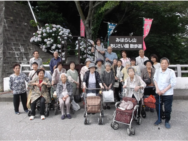 見ごろは少し過ぎていましたが、紫陽花もきれいでした。