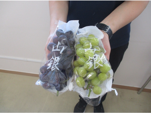 ぶどうを手に取ると、ずっしり重く立派なぶどうでした。