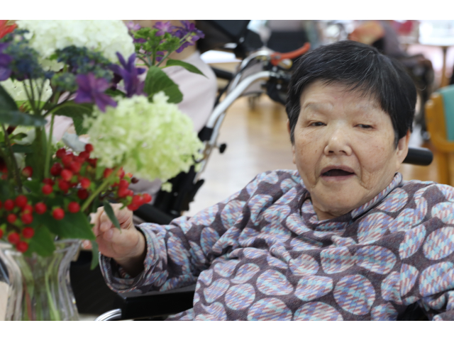 あじさいと一緒に📸