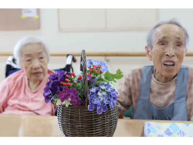 あじさいって言うの❓