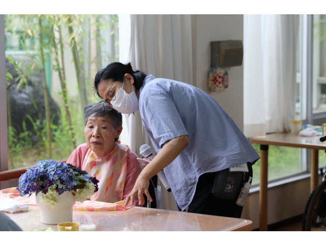 あじさい綺麗でしょ🤩