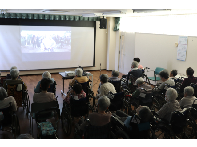 真剣に見入っています👀