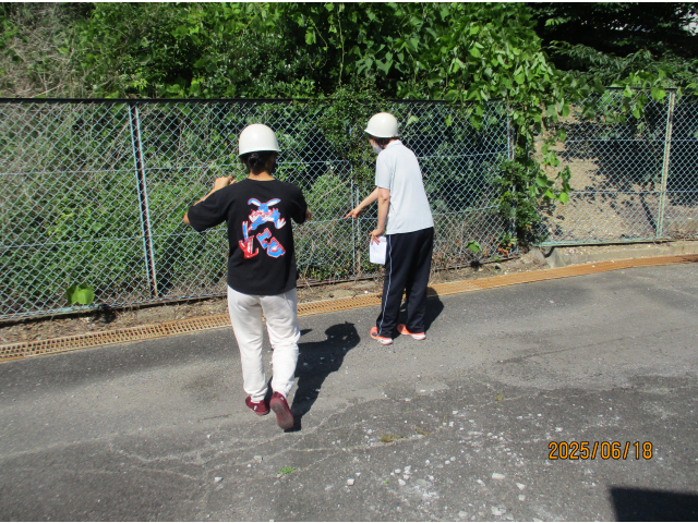 排水路チェックへ👀