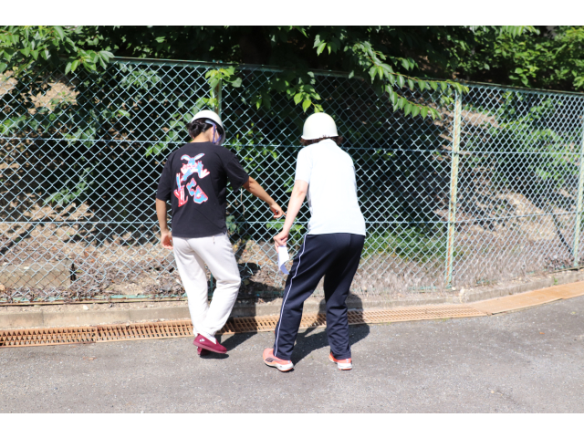 排水路の障害物除去完了🌳