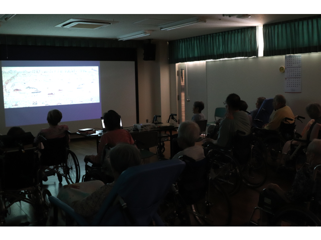 暗い中、映し出される映像に皆さん釘付け👀