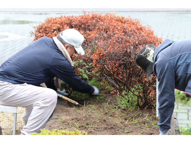 鎌を使い綺麗にしていただきました🥰