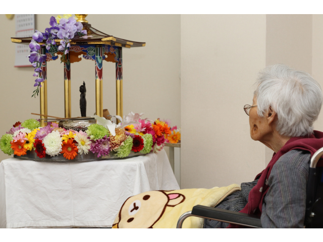 これがお釈迦様❓