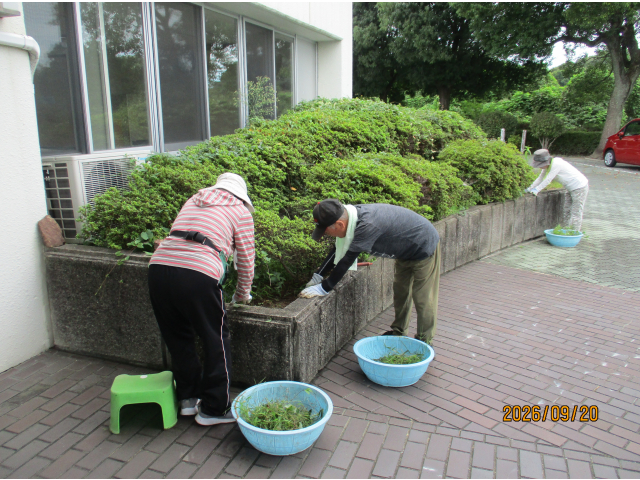 玄関横の植え込みも🤭
